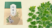 【行業(yè)資訊】國(guó)內(nèi)首部艾草專(zhuān)著《南陽(yáng)艾》，在南陽(yáng)新書(shū)首發(fā)！