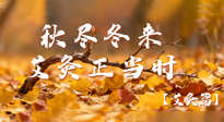 【健康/艾灸】秋盡冬來，艾灸正當(dāng)時(shí)——解鎖季節(jié)交替的養(yǎng)生密碼！