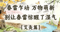 【二十四節(jié)氣灸】春雷驚醒濕氣！驚蟄艾灸3穴，疏肝祛濕養(yǎng)元氣！